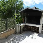 Salvia * تروغير
