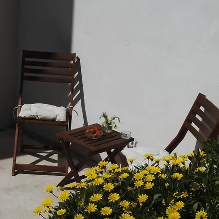 Salvia * Trogir