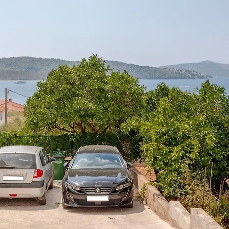 Salvia * Trogir